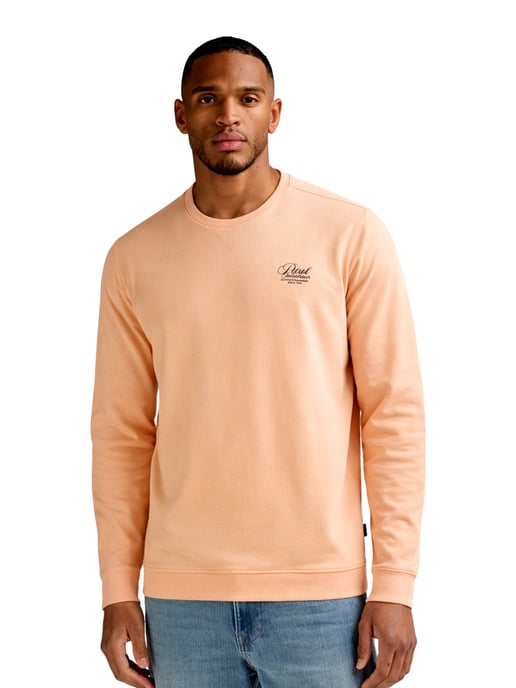 Petrol Industries-sweatshirt - Image 4