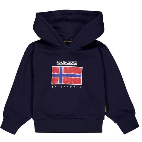 Napapijri Sella Flag-hoodie voor kinderen (Marineblauw) - Image 1