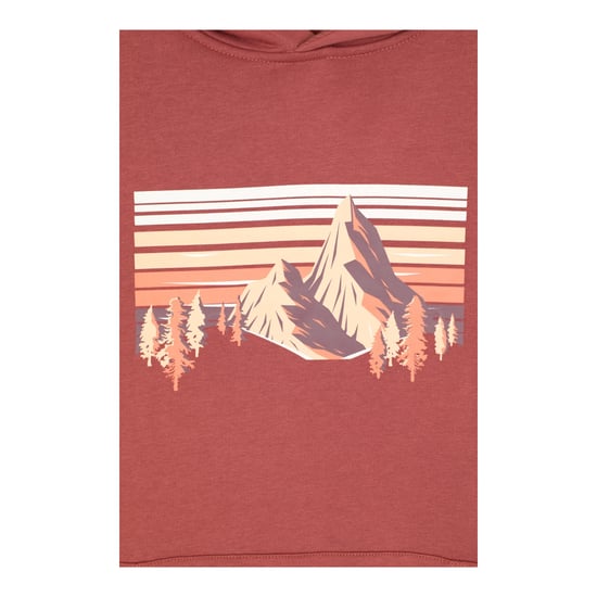 Mountain Warehouse Hoodie voor heren met bergmotief (Roest) - Image 4