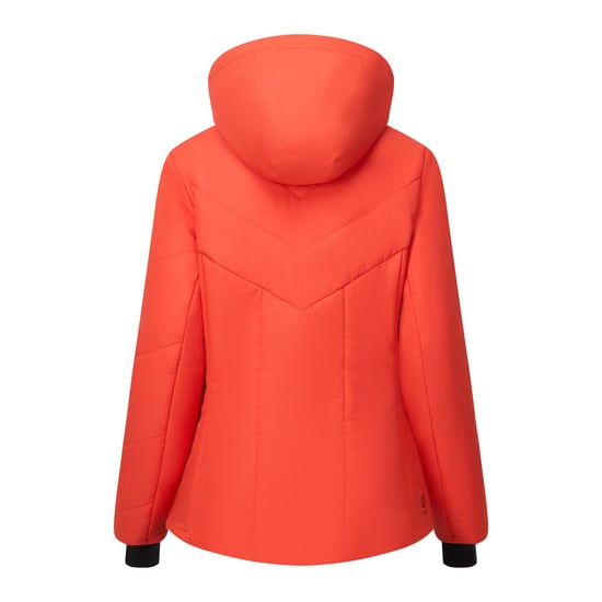 Dare 2B Glacier-jack met vulling voor dames (Grenadine) - Image 3