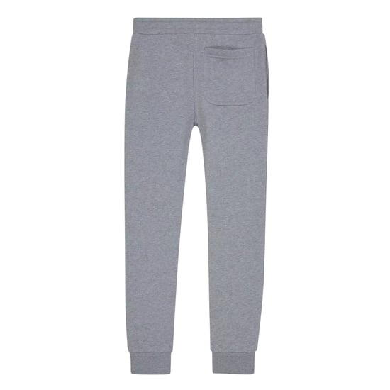 Lyle & Scott Klassieke joggingbroek met logo voor kinderen (Lichtgrijs) - Image 2