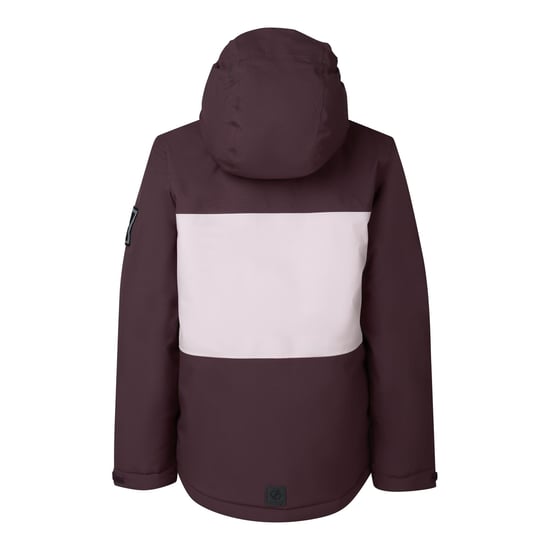 Dare 2B Send It II-skijas voor kinderen (Huckleberry) - Image 3