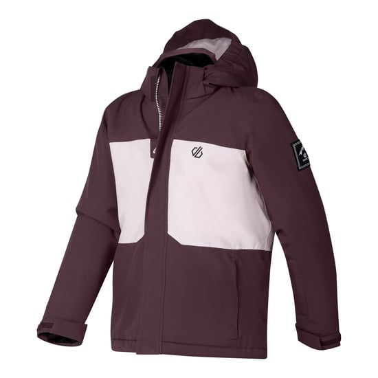 Dare 2B Send It II-skijas voor kinderen (Huckleberry) - Image 4