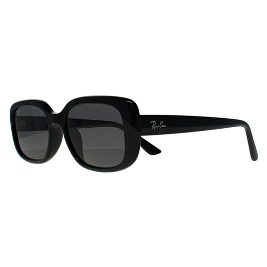 Ray-Ban RB4421D Bio Based 667787 gepolijst zwart donkergrijs zonnebril - Image 2
