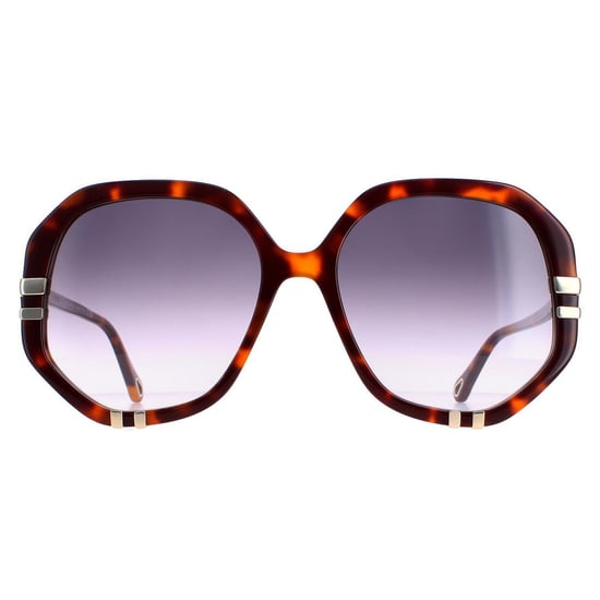 Chloe zonnebril CH0105S 004 Tortoise grijze gradiënt - Image 1
