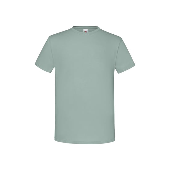 Fruit of the Loom Unisex volwassen iconisch T-shirt (Salie) - Image 1