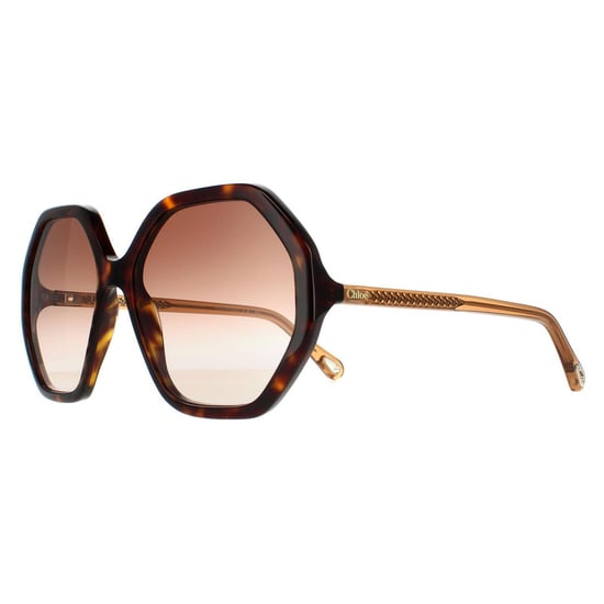 Chloe Round Dames Dark Havana en Bruin Crystal Bruin Gradient Ch0008s Esther - Image 2