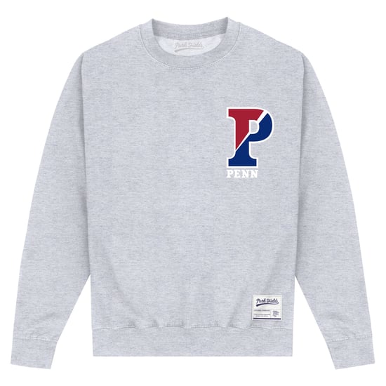 University Of Pennsylvania P Heather Grey Sweatshirt - Image 1