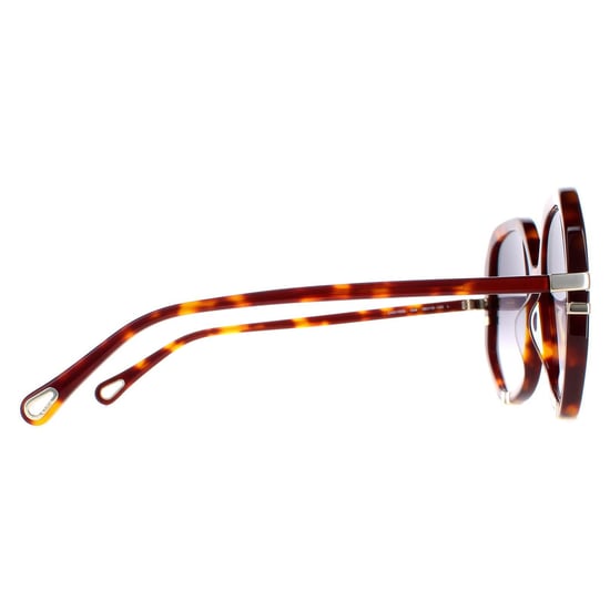 Chloe zonnebril CH0105S 004 Tortoise grijze gradiënt - Image 4