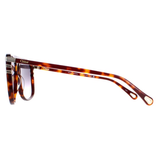 Chloe CH0104S 007 glanzend medium havana grijs gradiënt zonnebril - Image 3