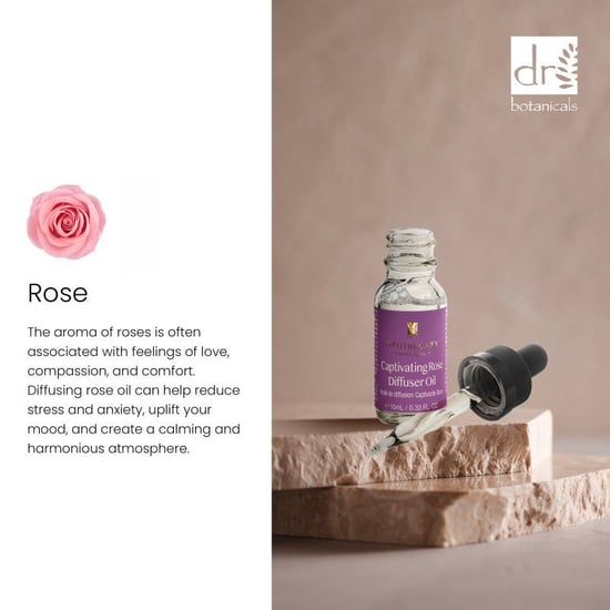 Dr. Botanicals Betoverende rozengeur diffuserolie 10 ml - Image 2