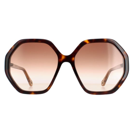 Chloe Round Dames Dark Havana en Bruin Crystal Bruin Gradient Ch0008s Esther - Image 1