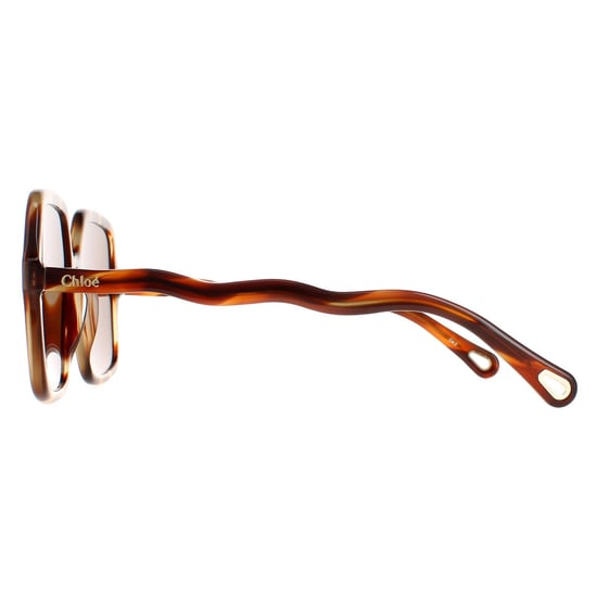 Chloe Square Dames Havana Bruin CH0086S Zelie - Image 3