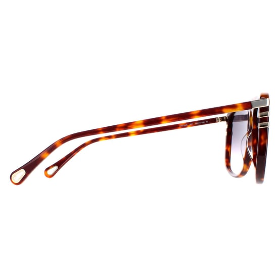 Chloe CH0104S 007 glanzend medium havana grijs gradiënt zonnebril - Image 4