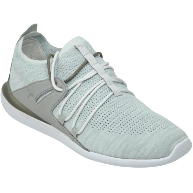 Puma ferrari sales sf evo cat